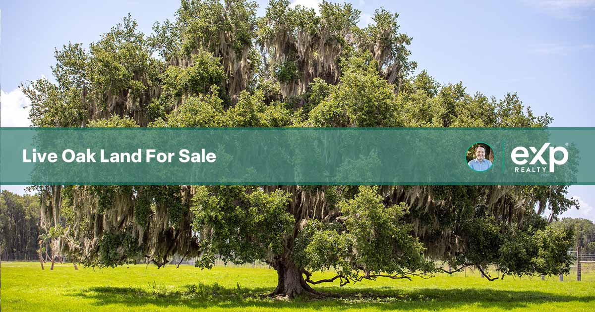 Live Oak Land For Sale Ray Seaman, Dalton Wade Real Estate Group
