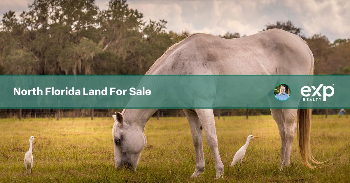 North Florida Land For Sale Ray Seaman, Dalton Wade Real Estate Group